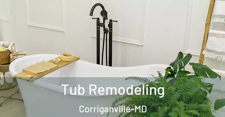 inner Bathroom imggen Tub Remodeling Corriganville-MD