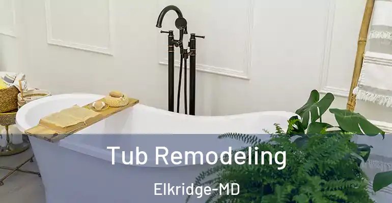inner Bathroom imggen Tub Remodeling Elkridge-MD