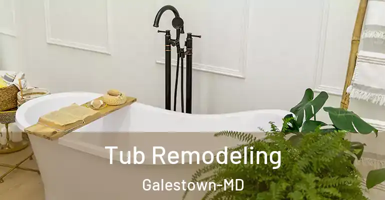 inner Bathroom imggen Tub Remodeling Galestown-MD