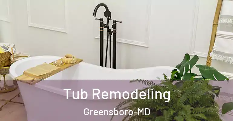 inner Bathroom imggen Tub Remodeling Greensboro-MD