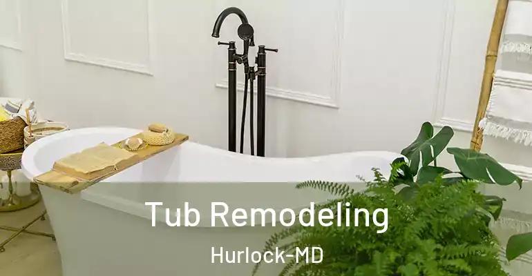 inner Bathroom imggen Tub Remodeling Hurlock-MD
