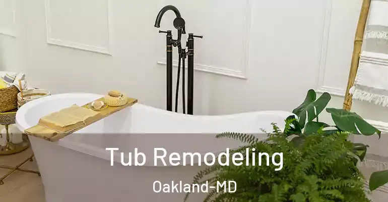inner Bathroom imggen Tub Remodeling Oakland-MD