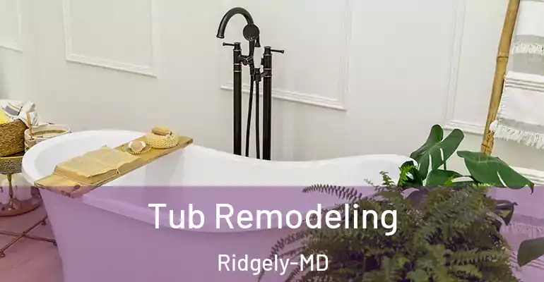 inner Bathroom imggen Tub Remodeling Ridgely-MD