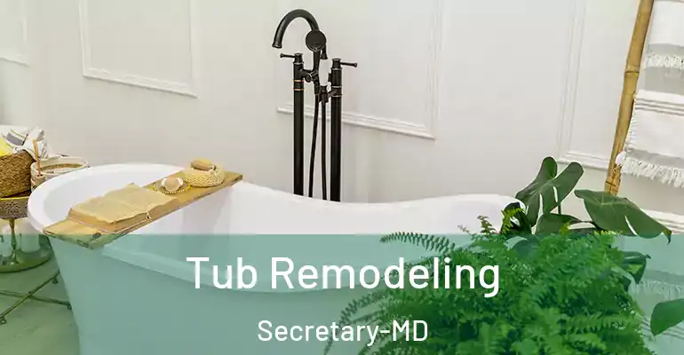 inner Bathroom imggen Tub Remodeling Secretary-MD