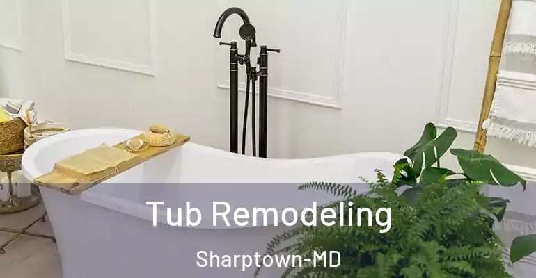 inner Bathroom imggen Tub Remodeling Sharptown-MD