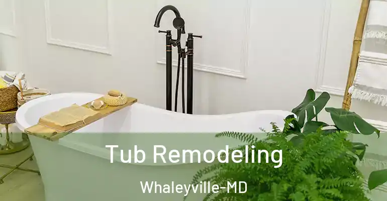inner Bathroom imggen Tub Remodeling Whaleyville-MD