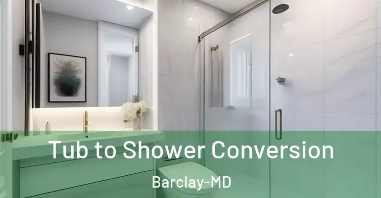 inner Bathroom imggen Tub to Shower Conversion Barclay-MD