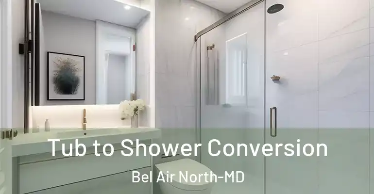 inner Bathroom imggen Tub to Shower Conversion Bel Air North-MD
