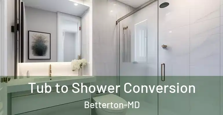 inner Bathroom imggen Tub to Shower Conversion Betterton-MD