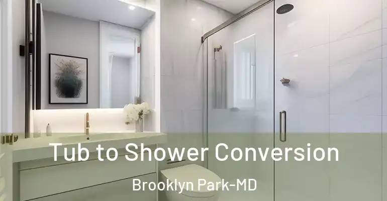 inner Bathroom imggen Tub to Shower Conversion Brooklyn Park-MD