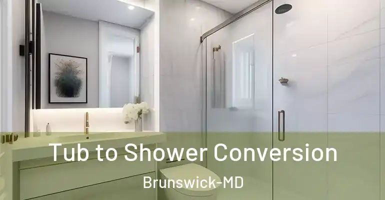 inner Bathroom imggen Tub to Shower Conversion Brunswick-MD