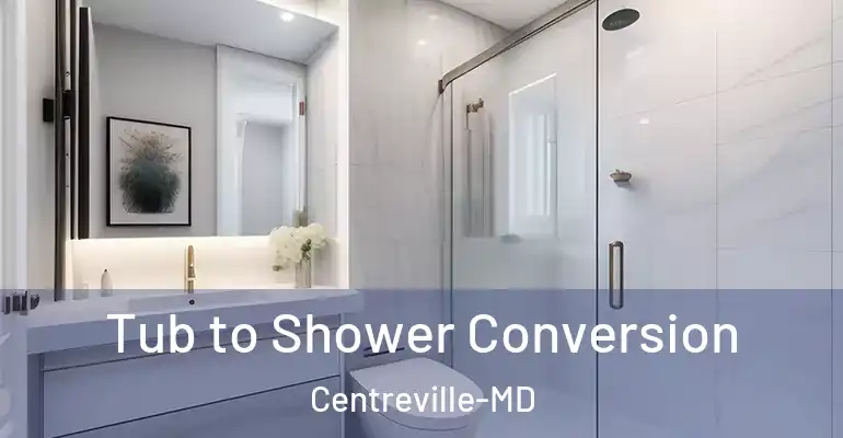 inner Bathroom imggen Tub to Shower Conversion Centreville-MD
