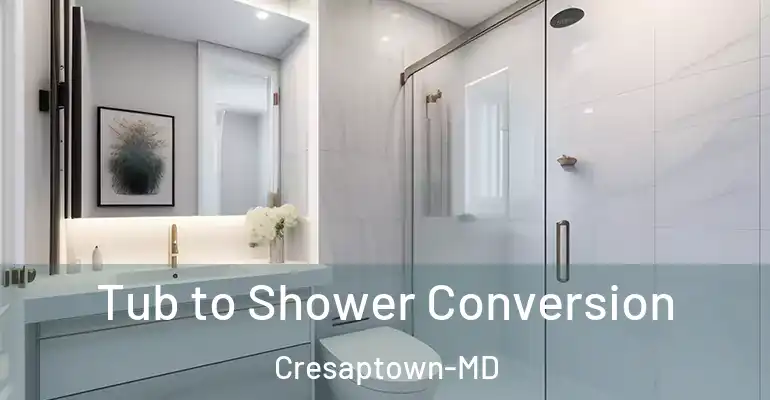 inner Bathroom imggen Tub to Shower Conversion Cresaptown-MD