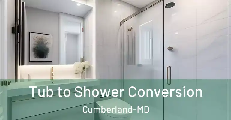 inner Bathroom imggen Tub to Shower Conversion Cumberland-MD