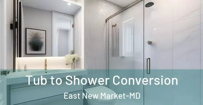 inner Bathroom imggen Tub to Shower Conversion East New Market-MD