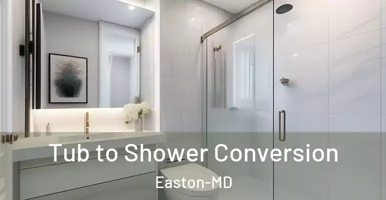 inner Bathroom imggen Tub to Shower Conversion Easton-MD