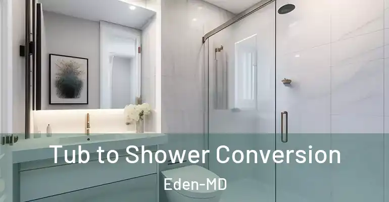 inner Bathroom imggen Tub to Shower Conversion Eden-MD