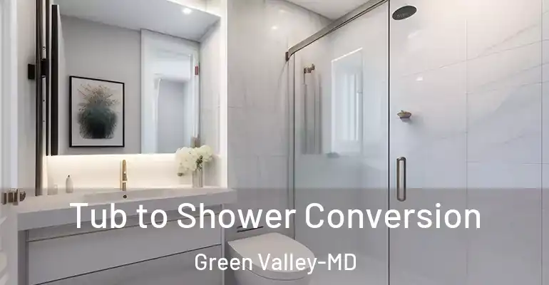 inner Bathroom imggen Tub to Shower Conversion Green Valley-MD
