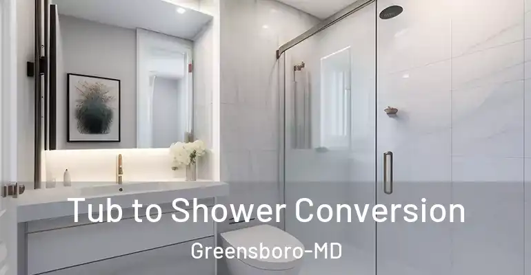 inner Bathroom imggen Tub to Shower Conversion Greensboro-MD