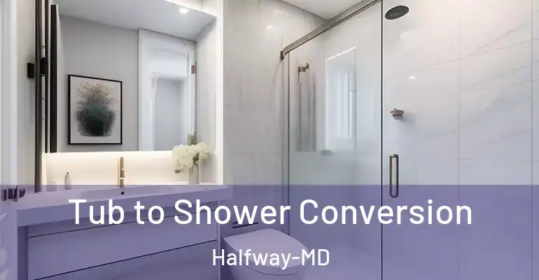 inner Bathroom imggen Tub to Shower Conversion Halfway-MD