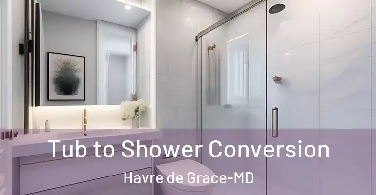 inner Bathroom imggen Tub to Shower Conversion Havre de Grace-MD