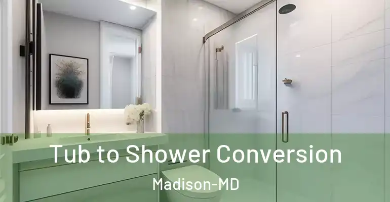 inner Bathroom imggen Tub to Shower Conversion Madison-MD