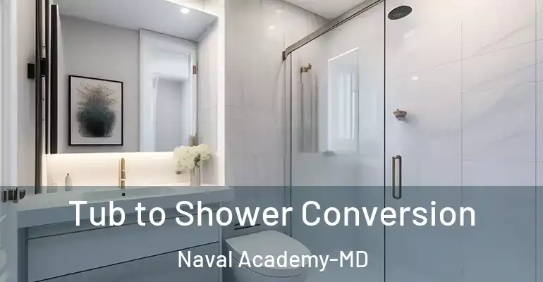 inner Bathroom imggen Tub to Shower Conversion Naval Academy-MD