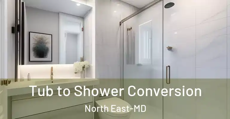 inner Bathroom imggen Tub to Shower Conversion North East-MD
