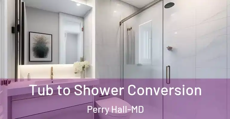 inner Bathroom imggen Tub to Shower Conversion Perry Hall-MD