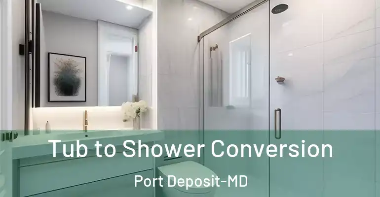 inner Bathroom imggen Tub to Shower Conversion Port Deposit-MD