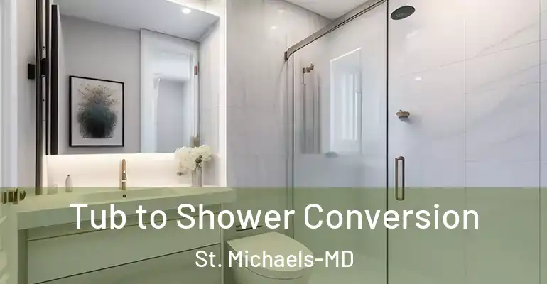 inner Bathroom imggen Tub to Shower Conversion St. Michaels-MD