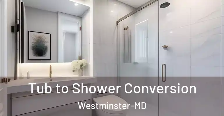 inner Bathroom imggen Tub to Shower Conversion Westminster-MD