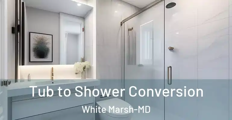 inner Bathroom imggen Tub to Shower Conversion White Marsh-MD