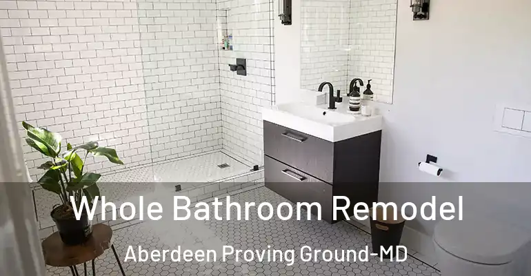 inner Bathroom imggen Whole Bathroom Remodel Aberdeen Proving Ground-MD