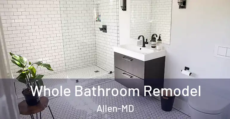 inner Bathroom imggen Whole Bathroom Remodel Allen-MD