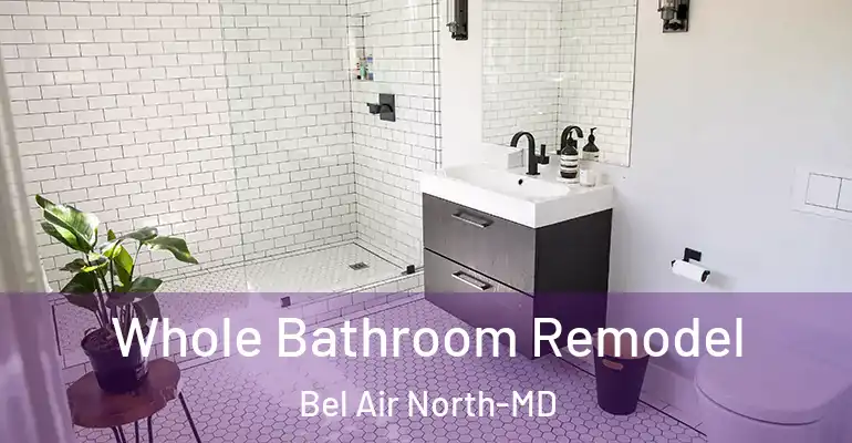 inner Bathroom imggen Whole Bathroom Remodel Bel Air North-MD