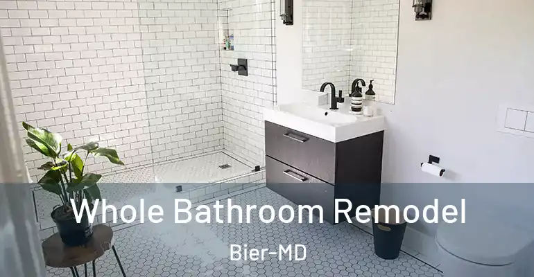inner Bathroom imggen Whole Bathroom Remodel Bier-MD