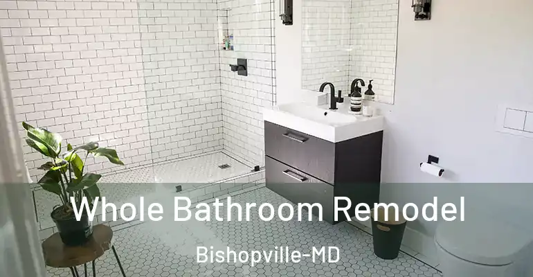 inner Bathroom imggen Whole Bathroom Remodel Bishopville-MD