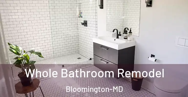 inner Bathroom imggen Whole Bathroom Remodel Bloomington-MD