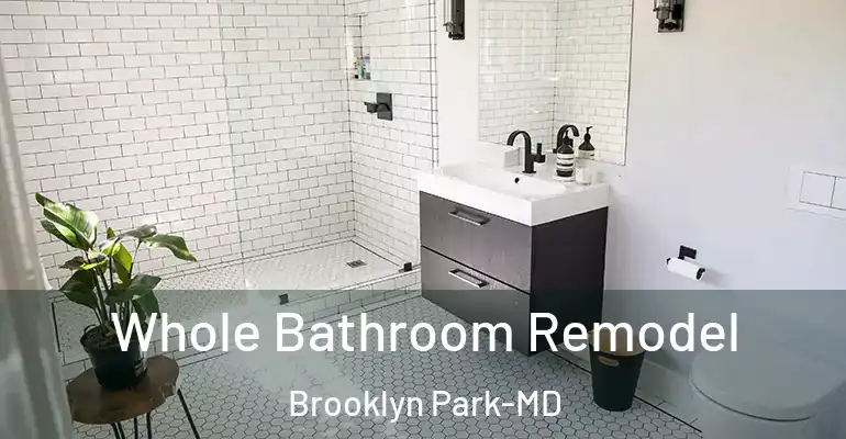 inner Bathroom imggen Whole Bathroom Remodel Brooklyn Park-MD