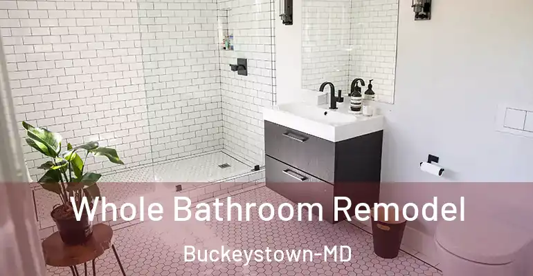 inner Bathroom imggen Whole Bathroom Remodel Buckeystown-MD