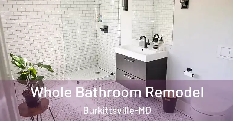 inner Bathroom imggen Whole Bathroom Remodel Burkittsville-MD