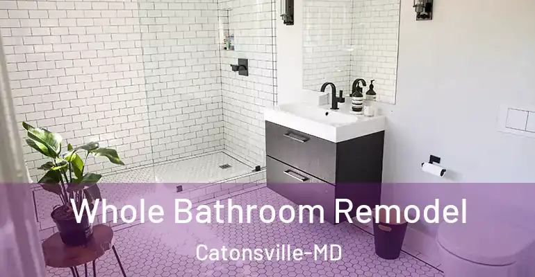 inner Bathroom imggen Whole Bathroom Remodel Catonsville-MD