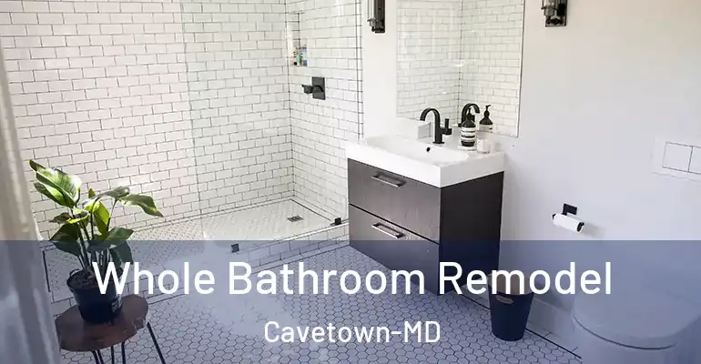 inner Bathroom imggen Whole Bathroom Remodel Cavetown-MD