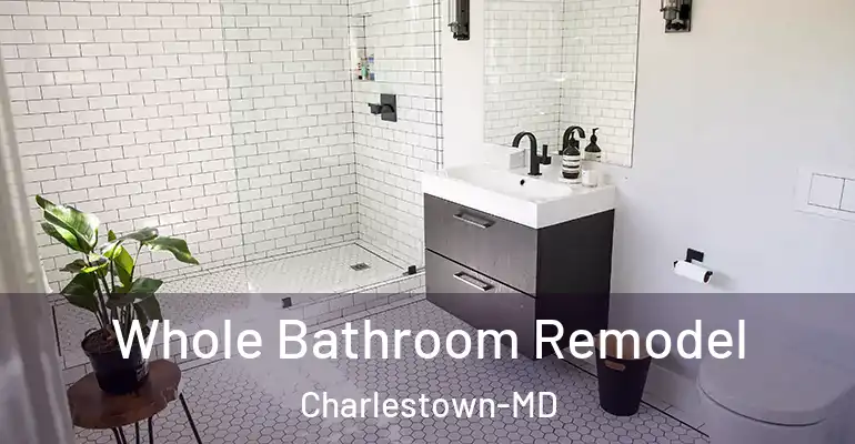 inner Bathroom imggen Whole Bathroom Remodel Charlestown-MD