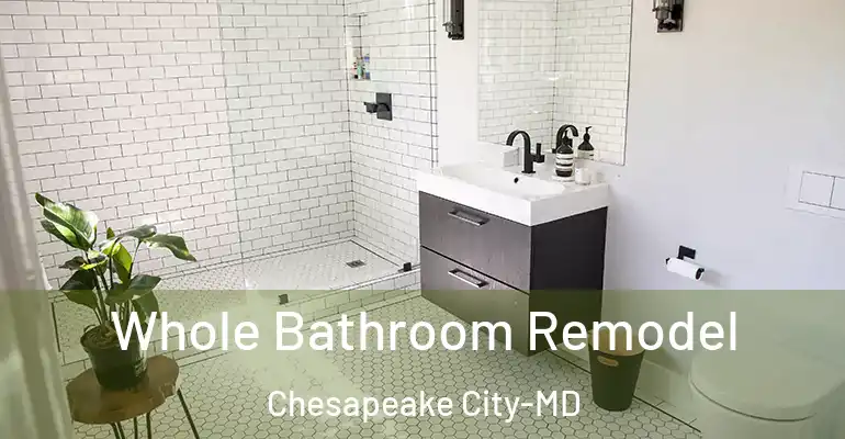 inner Bathroom imggen Whole Bathroom Remodel Chesapeake City-MD