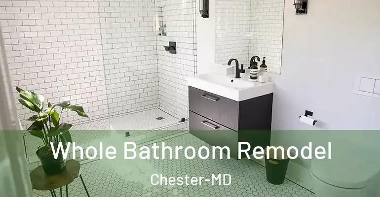inner Bathroom imggen Whole Bathroom Remodel Chester-MD