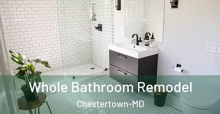 inner Bathroom imggen Whole Bathroom Remodel Chestertown-MD