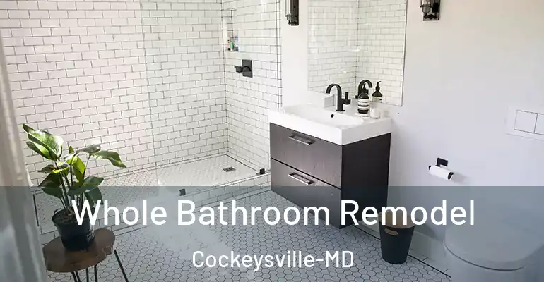 inner Bathroom imggen Whole Bathroom Remodel Cockeysville-MD