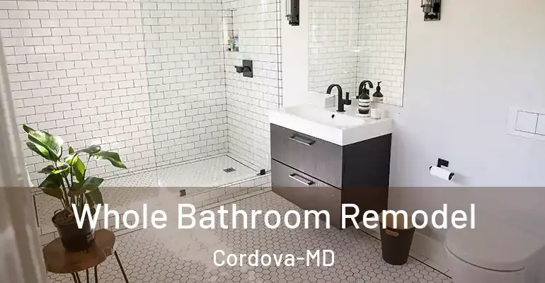 inner Bathroom imggen Whole Bathroom Remodel Cordova-MD